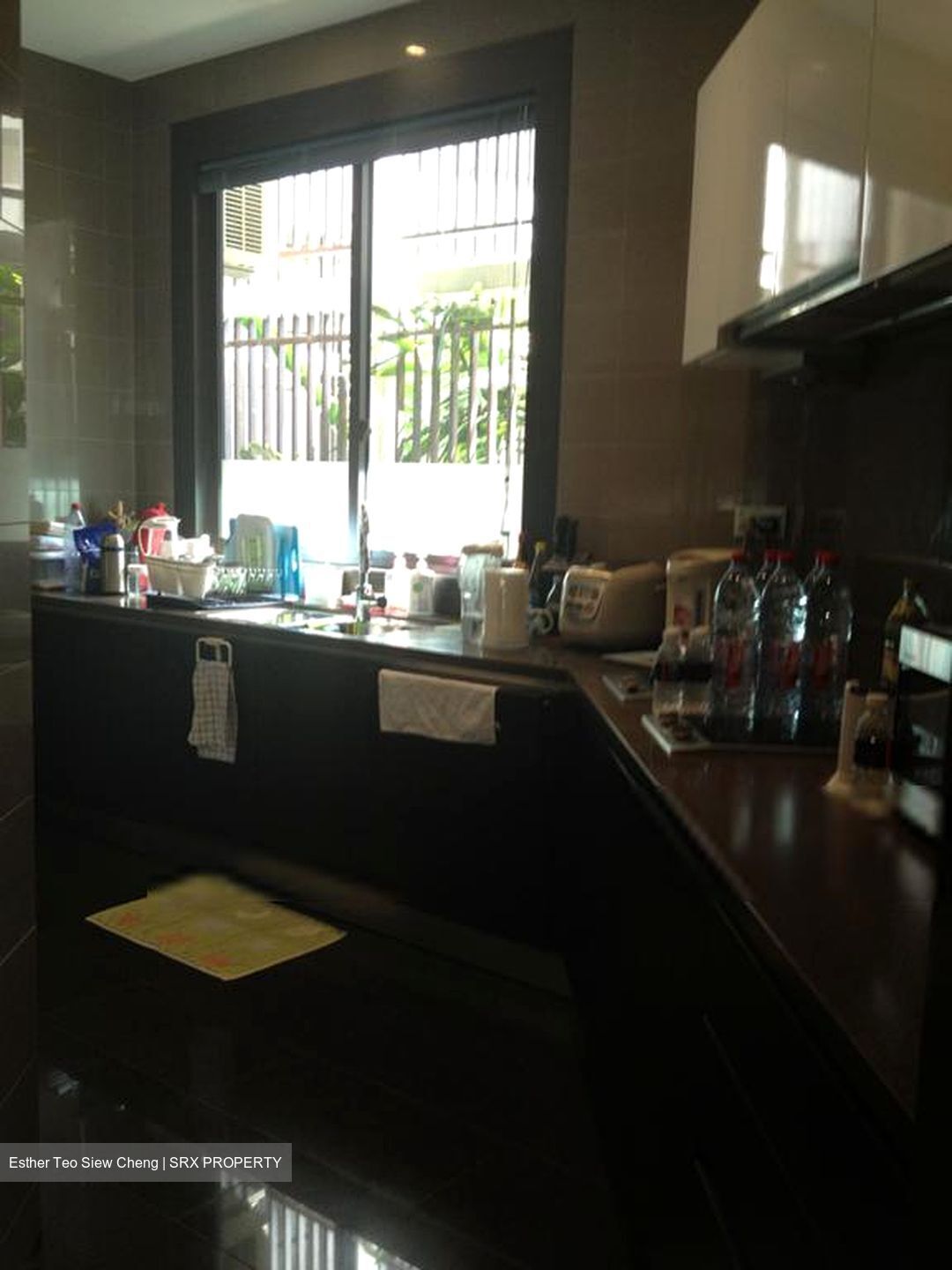 Belle Vue Residences (D9), Condominium #604931831